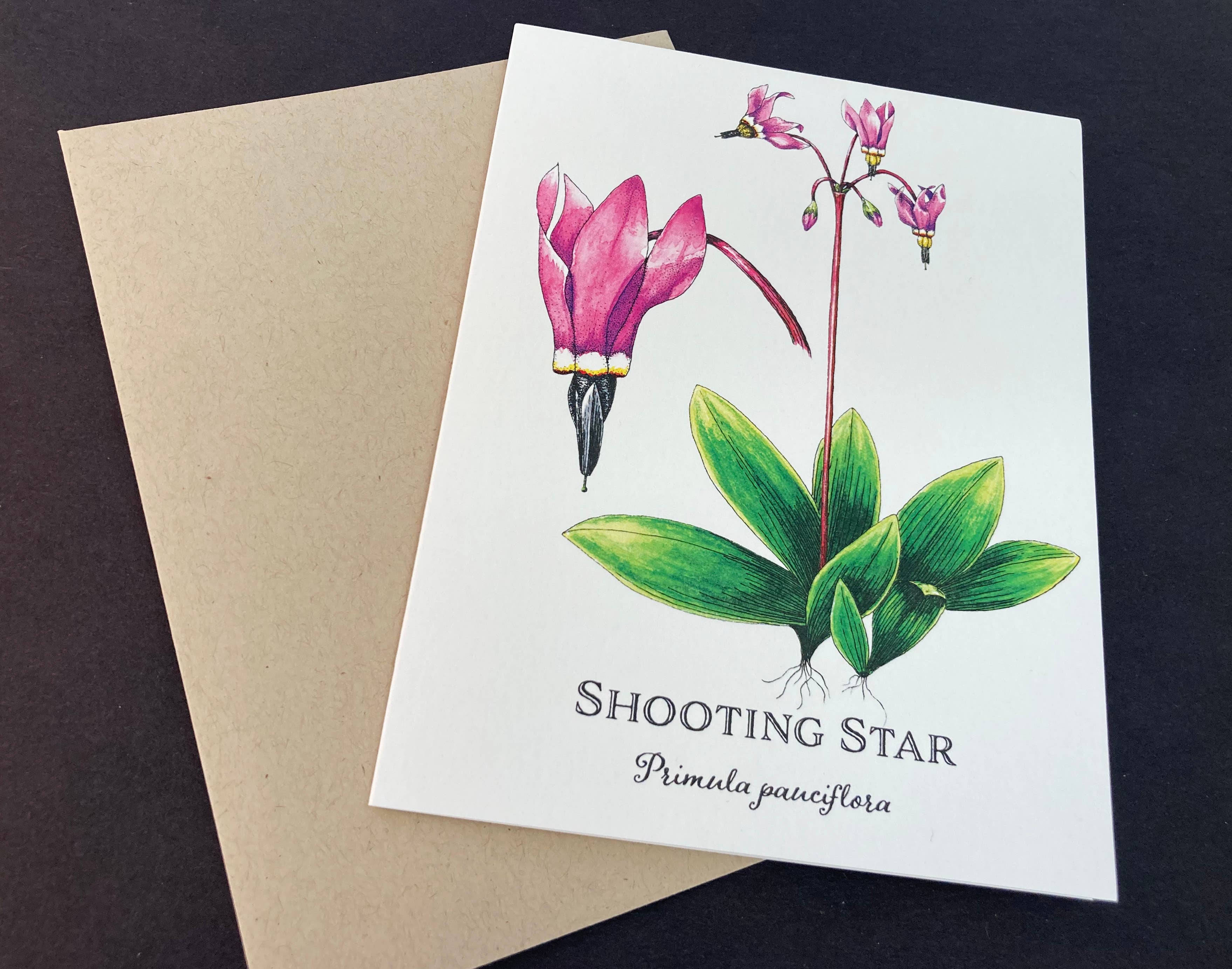 Madrona Press - Wholesale Everyday Greeting Card - Wildflower Card Set - 8 assorted flowers12