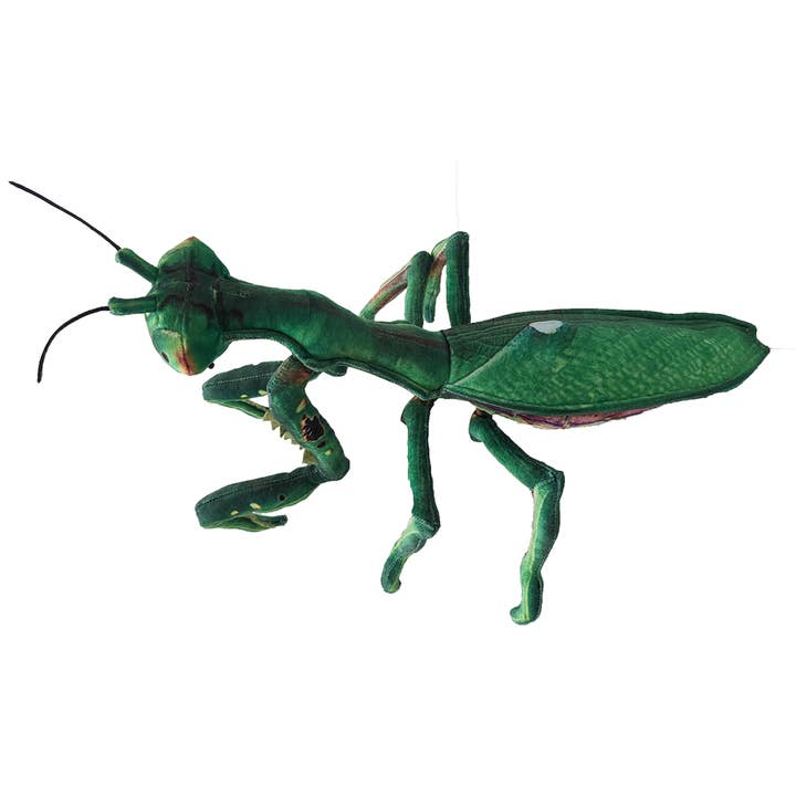 Texas Toy Distribution - Vendita all'ingrosso Peluche - Bambini e neonati - Praying Mantis, peluche a forma di insetto, 17", peluche a forma di insetto2