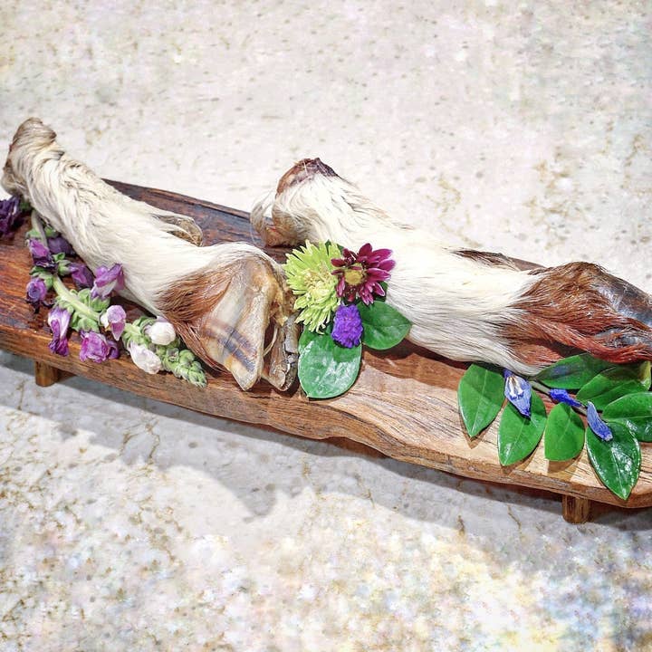 Naked Beasts, Inc. - Wholesale Pet Treats - Dog - Sheep Trotter - Limited Edition1