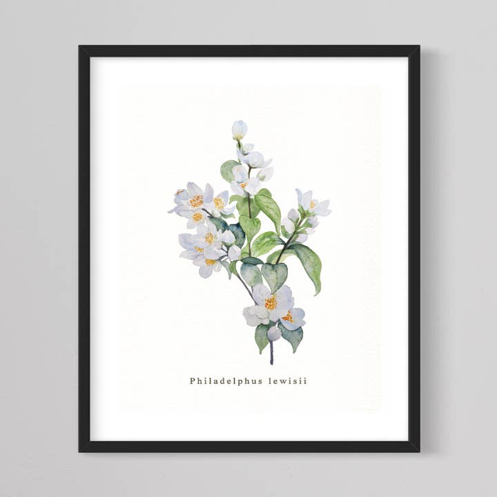Mock Orange Floral Giclée Print, PNW Flowers, Floral Art for wholesale by CMarie Northwest