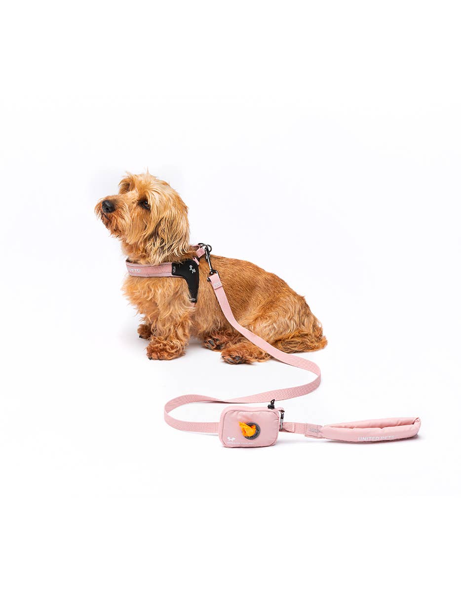 United Pets - Wholesale Hondenriem - Hond - Zachte hondenriem met gewatteerd handvat9