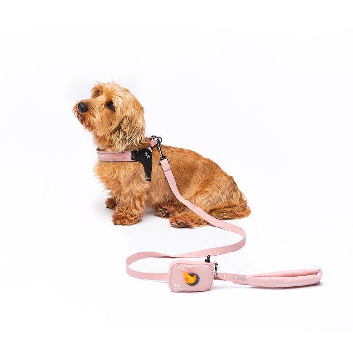 United Pets - Wholesale Pet Leash - Dog - Dog Padded Soft Leash9