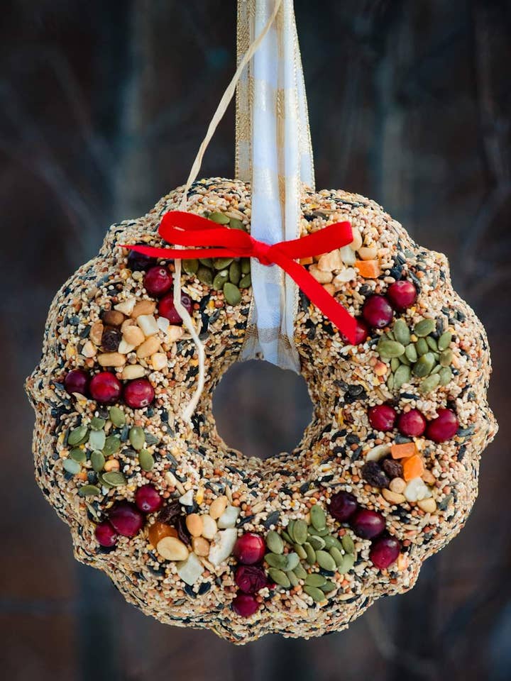 Large Mix Seed Wreath for wholesale by Birdie Numnum