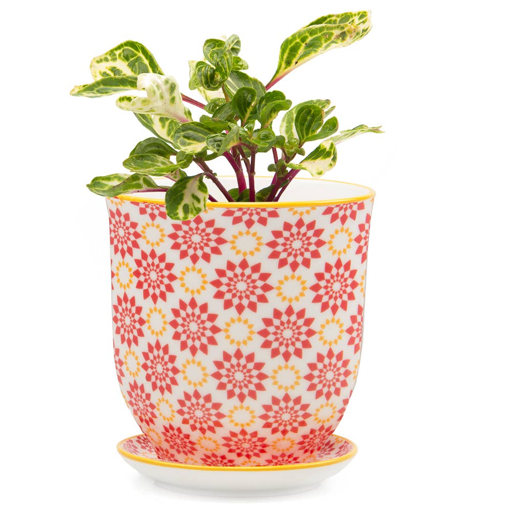 Chive UK – Großhandel Blumentopf – Liberte 3 - Keramik-Blumentopf mit Untersetzer und Abflussloch28