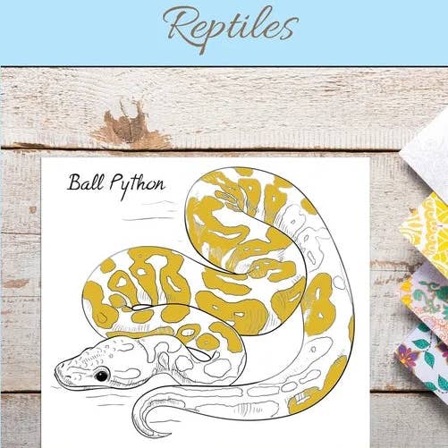 Books by splitShops - Wholesale Book - Kids - Reptiles - Paperback