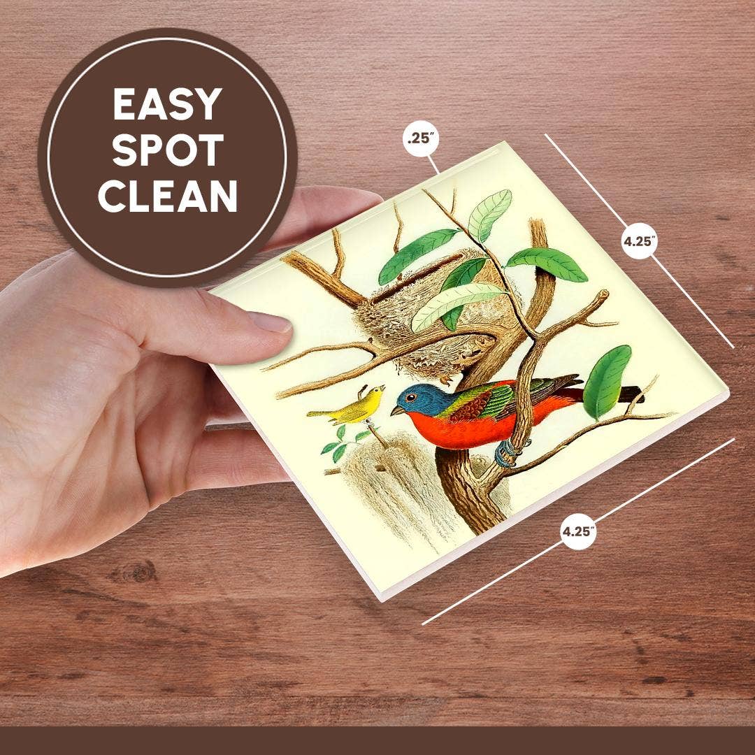 3dRose - Wholesale Coasters - 3dRose, Vintage Bird Print Painted Bunting Colorful Birds Art Illustration, Coaster6