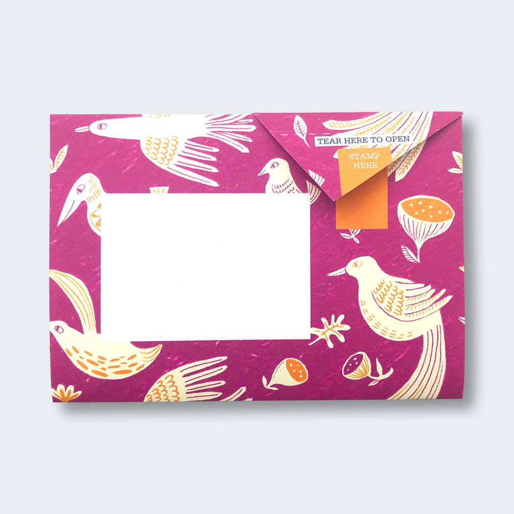 pigeonposted - Wholesale Stationery/Notecard Set - Fig & Feather Pigeon, Folding Letter Set – Pack of 6 Letters8