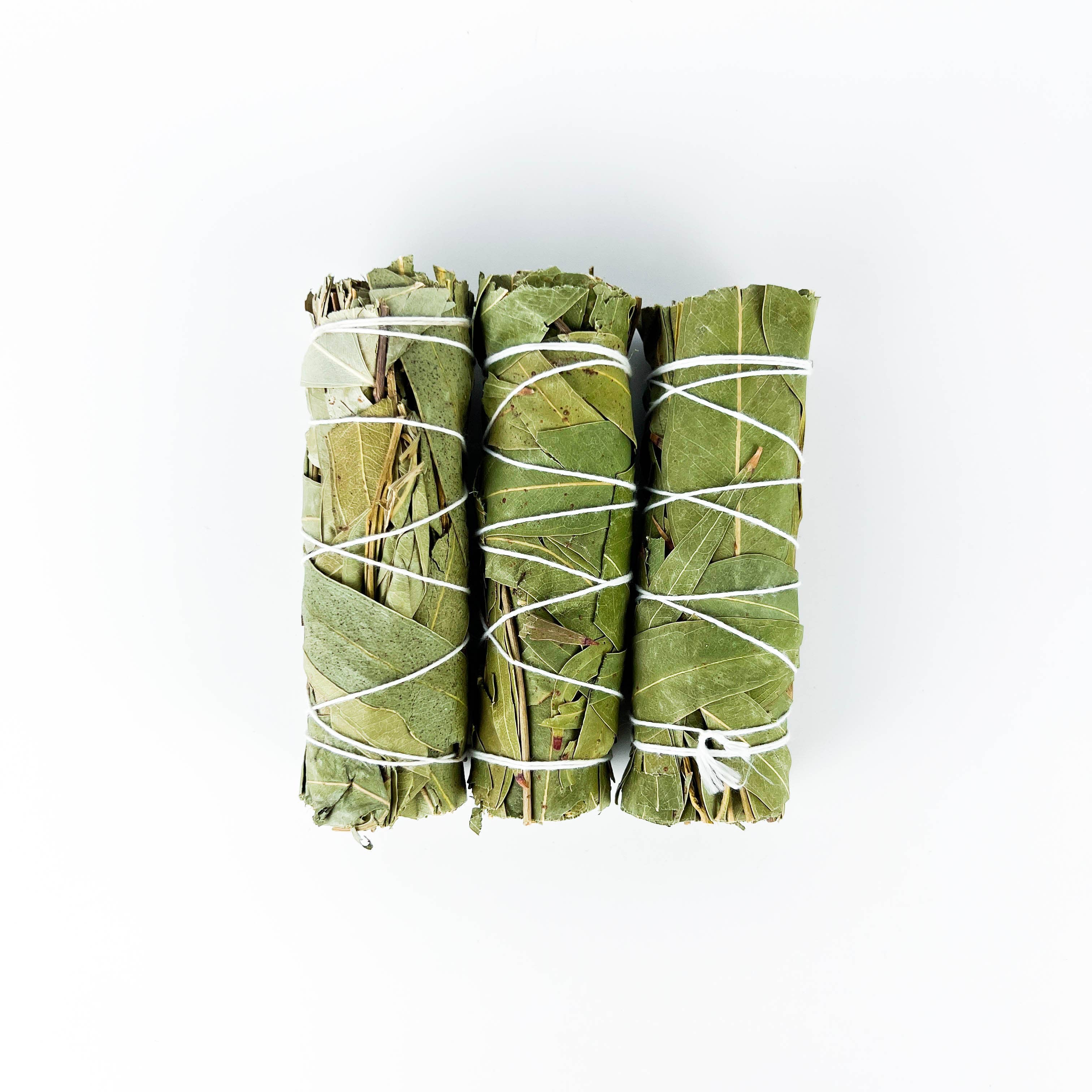 GREENROOTS USA LLC - Wholesale Smudge Stick - Eucalyptus Smudge Stick 4" Bundle For Ceremony, Meditation12