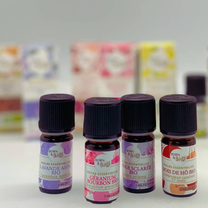 Wood humidifier 110xh145mm. for wholesale on Faire2