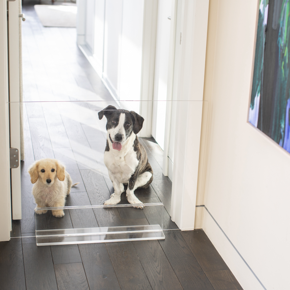 Hiddin - Vente Barrière portative pliable – chien - Portail à Panneaux Hauts22