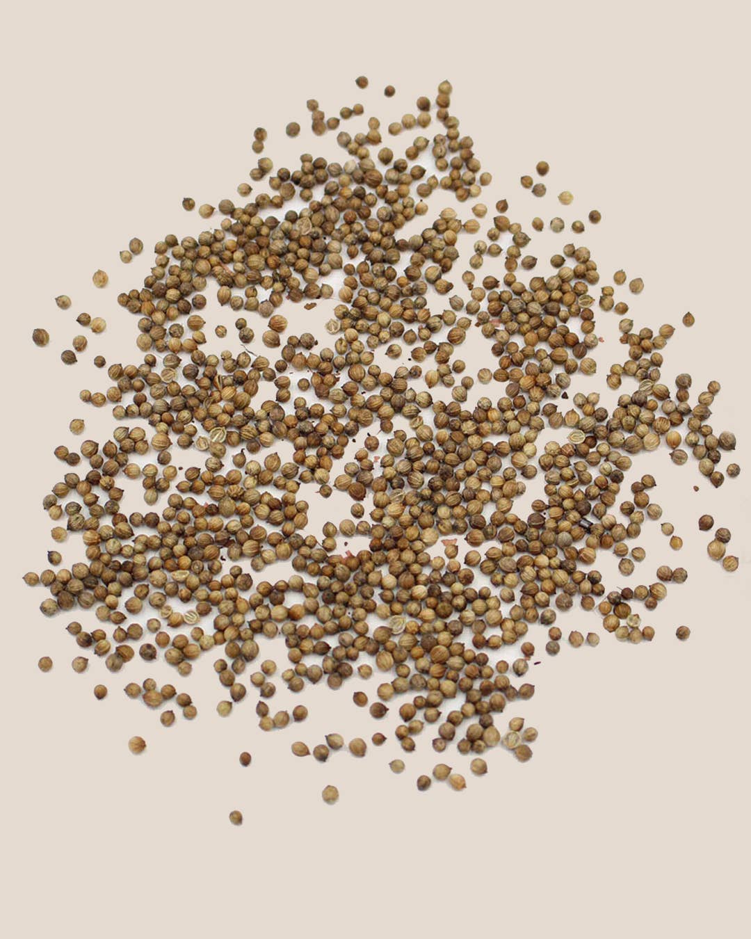 Life in a bag - Wholesale Plant Seeds - Pack of 4 Fruit Seed Packets1