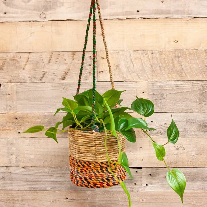 Artisan Cylindrical Hanging Plant Basket Small for wholesale by Wildlife World Ltd