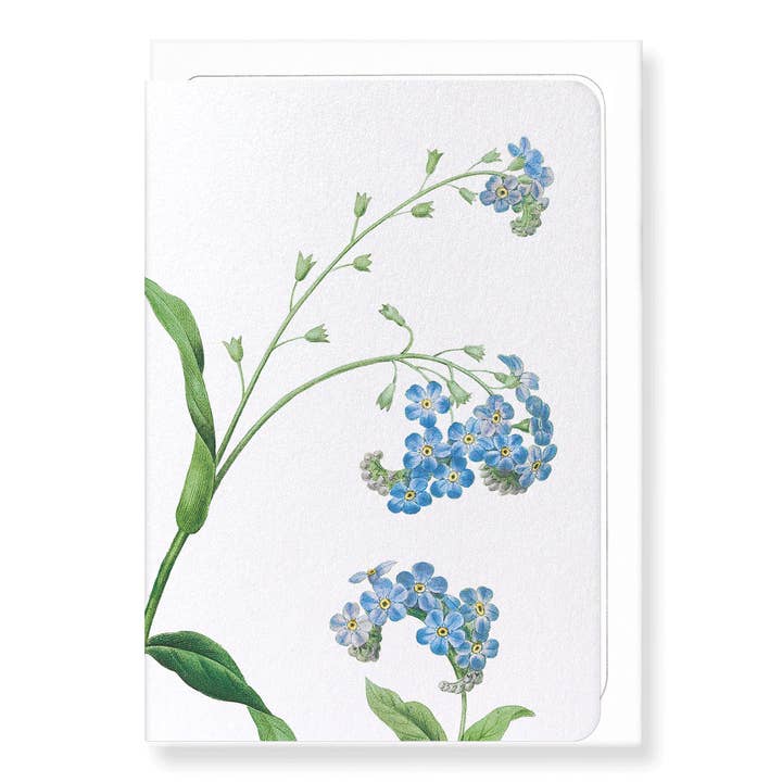 FORGET ME NOT FLOWER: Greeting Card for wholesale by Ezen Trade