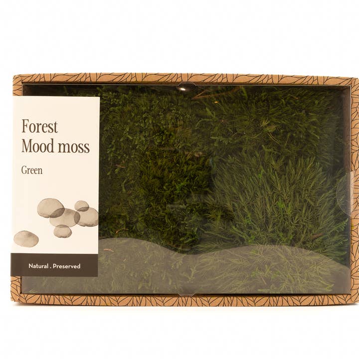 Musgo de Floresta Preservada - Mood Moss - Grande Creabox DIY por atacado de SecondFlor