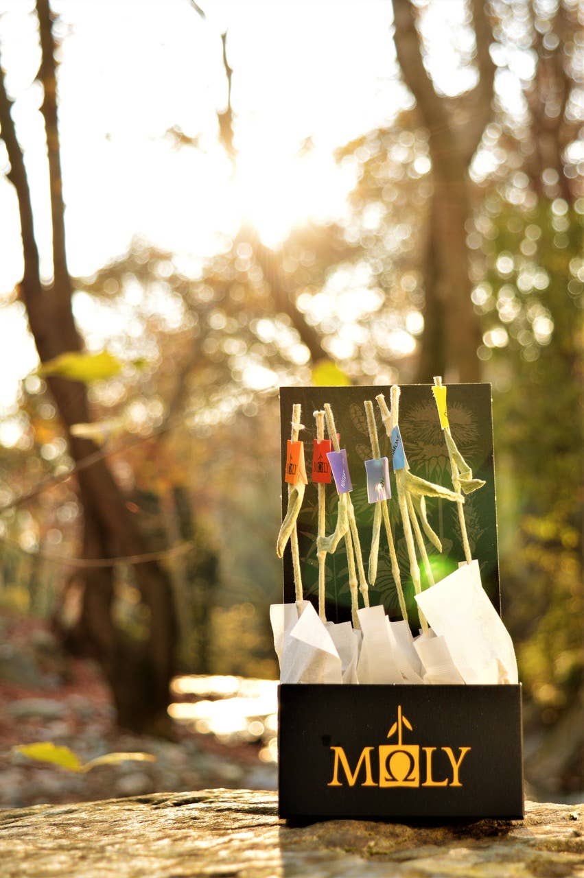 Moly the mythic antidote – wholesale Health/detox tea – Variety -  8 Teabags 34 herbs with Identifier6