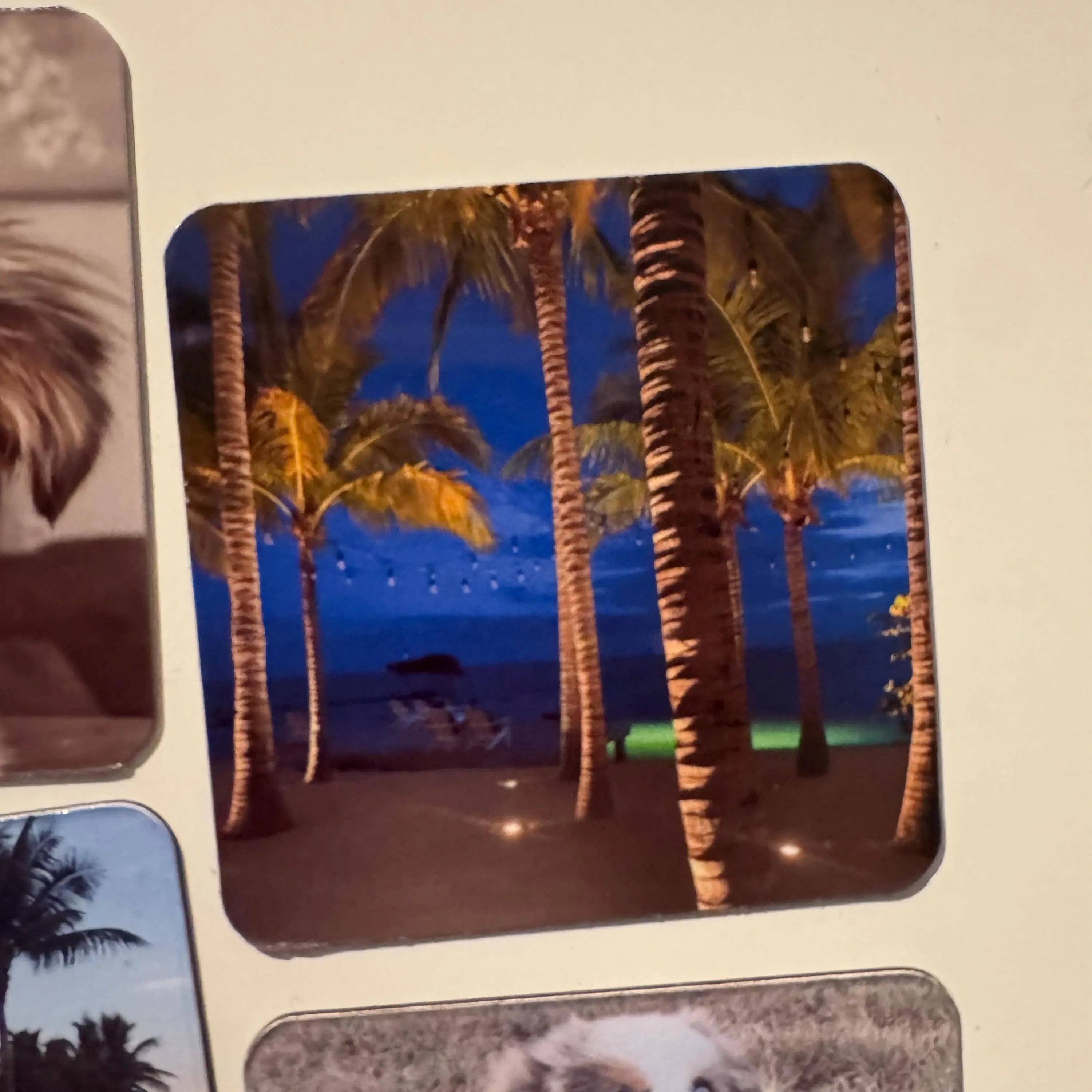 ASAP Craft Supplies - Wholesale Magnet - Custom Photo Magnets – Personalized Picture Magnets | Fridge Magnets with Your Photos | Gift for Family, Wedding Favors, Pet Magnet3