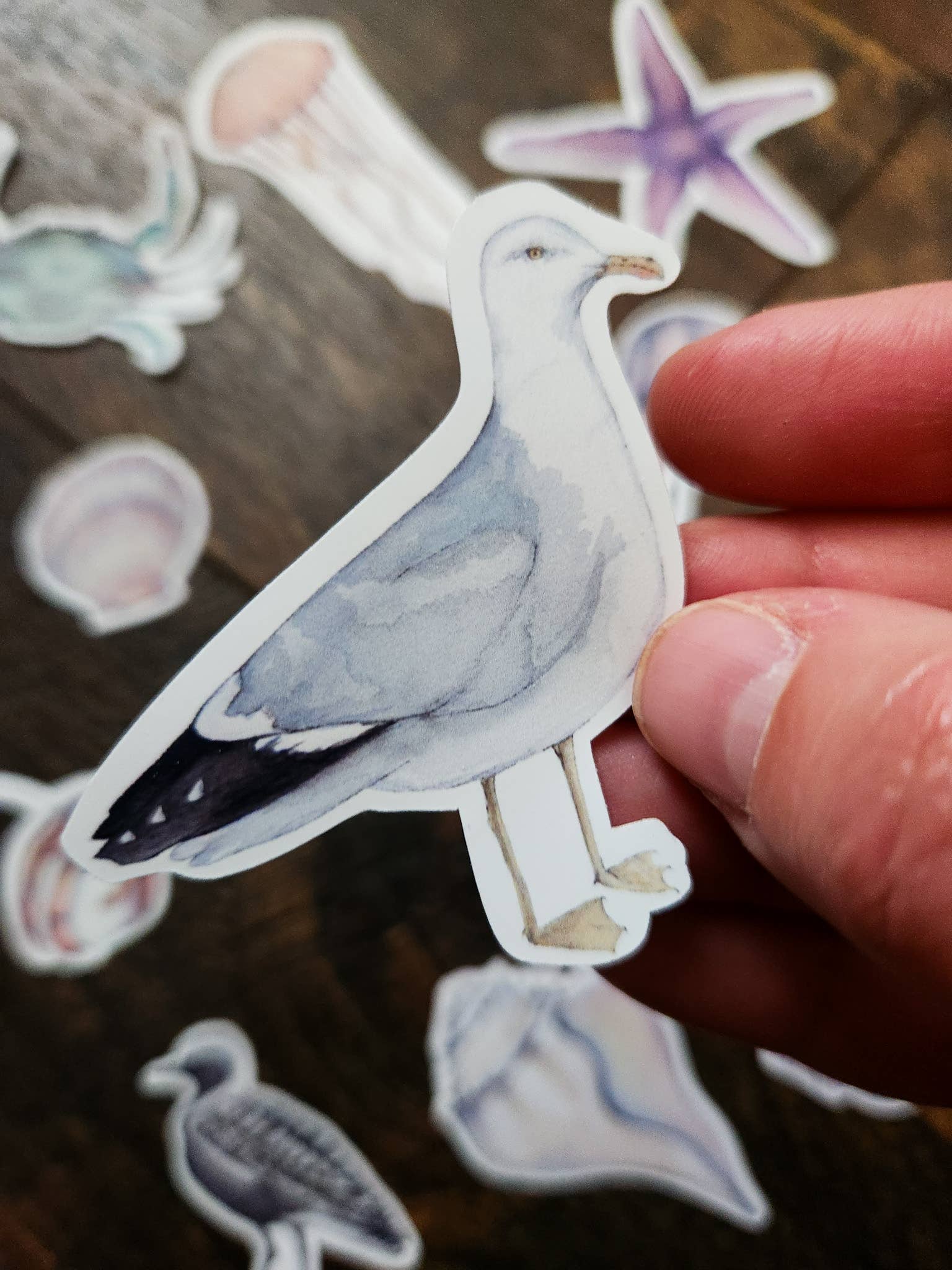 Stephanie Hathaway Designs - Vendita all'ingrosso Adesivo - Pacchetto di Adesivi da Spiaggia, Set di 12 Adesivi in Vinile Opaco5