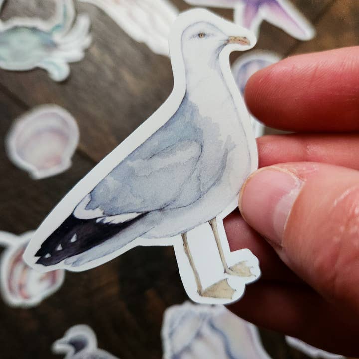 Stephanie Hathaway Designs - Vendita all'ingrosso Adesivo - Pacchetto di Adesivi da Spiaggia, Set di 12 Adesivi in Vinile Opaco5