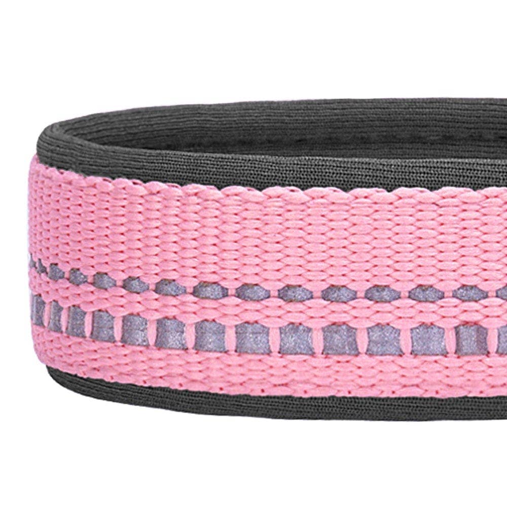 Blueberry Pet - Vente Collier – chien - Collier de sécurité rembourré en néoprène souple réfléchissant 3M56