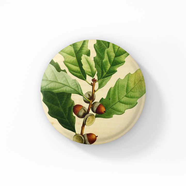 Bouton Épinglette Gland, Porte-clés Gland, Aimant Gland pour la vente par NatureCuts