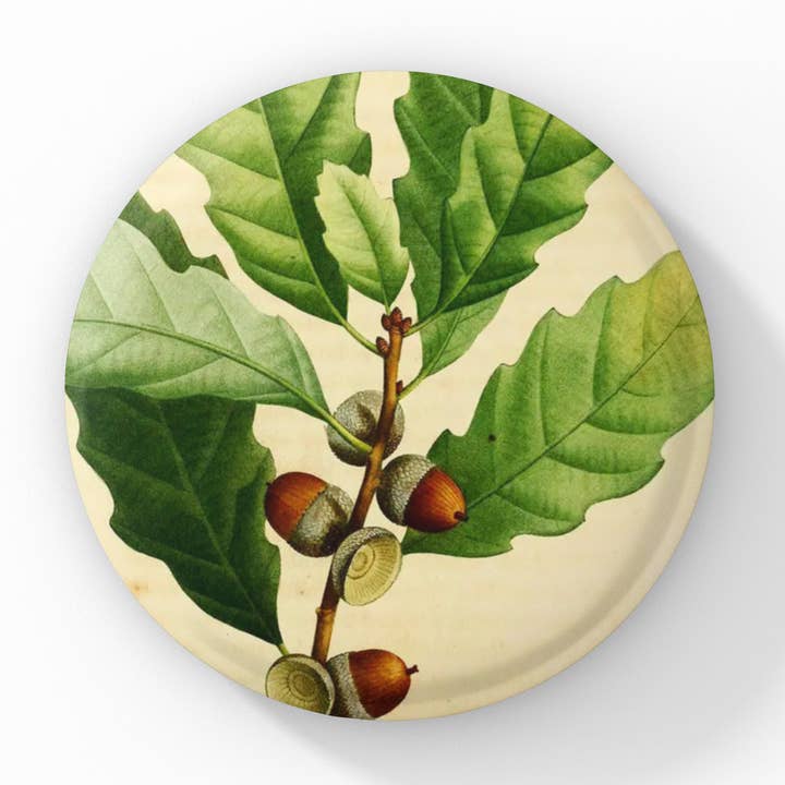 Acorn Pin Button, Acorn Keychain, Acorn Magnet for wholesale by NatureCuts