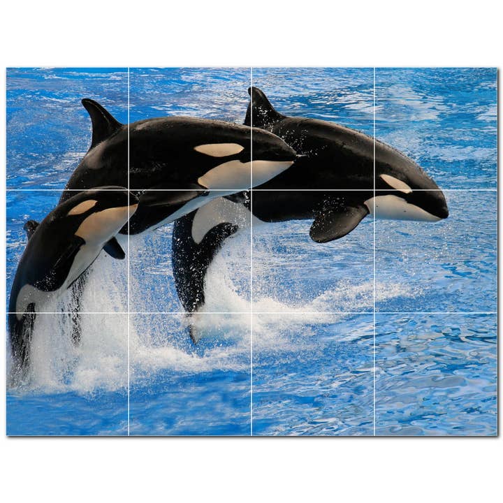 Carrelage en céramique Dolphin Ceramic Tile Mural PT500518 pour la vente par Picture-Tiles.com