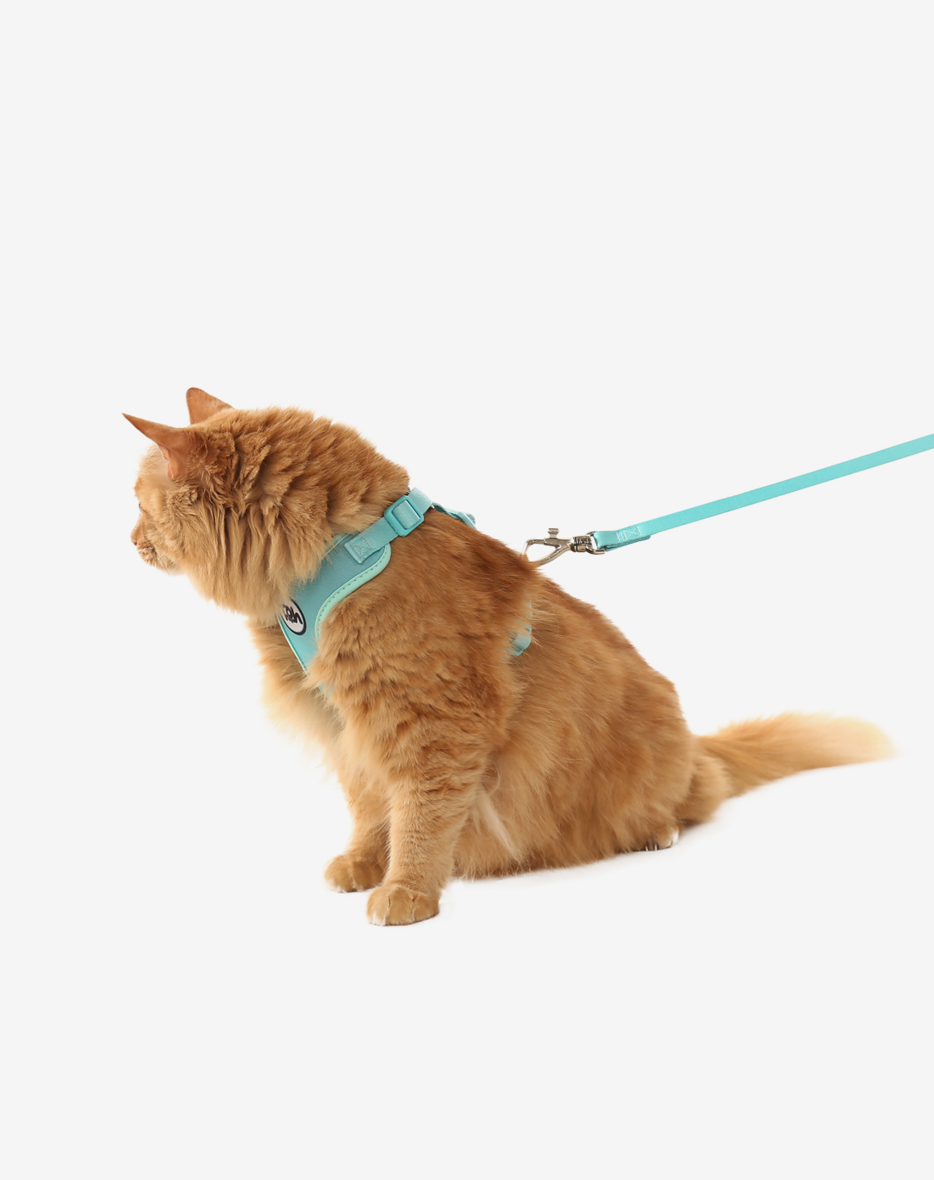 Toh – Arnês – Gato por atacado – Cat H-Harness Comfort + Leash Set Maresia1