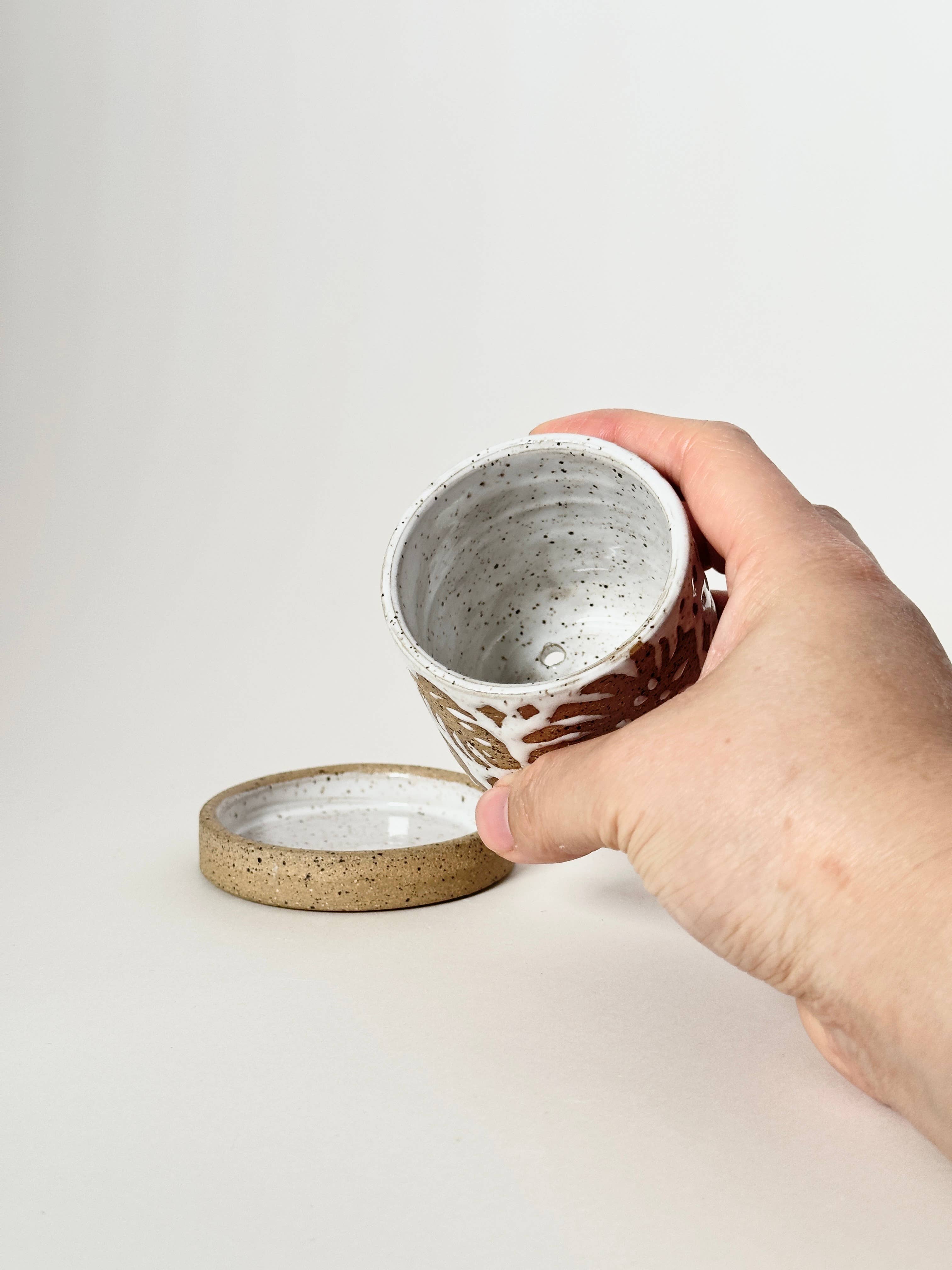 Annie’s Potteries – Engroshandel Plantekrukke – Monstera Plantemaskiner1