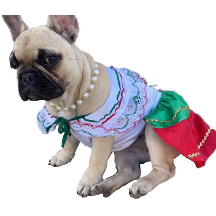 Gueyita Mexicana - Vente Déguisement – chien - Costume de chien pour fille Poblana de la Chine/Costume de chien mexicain pour fille4