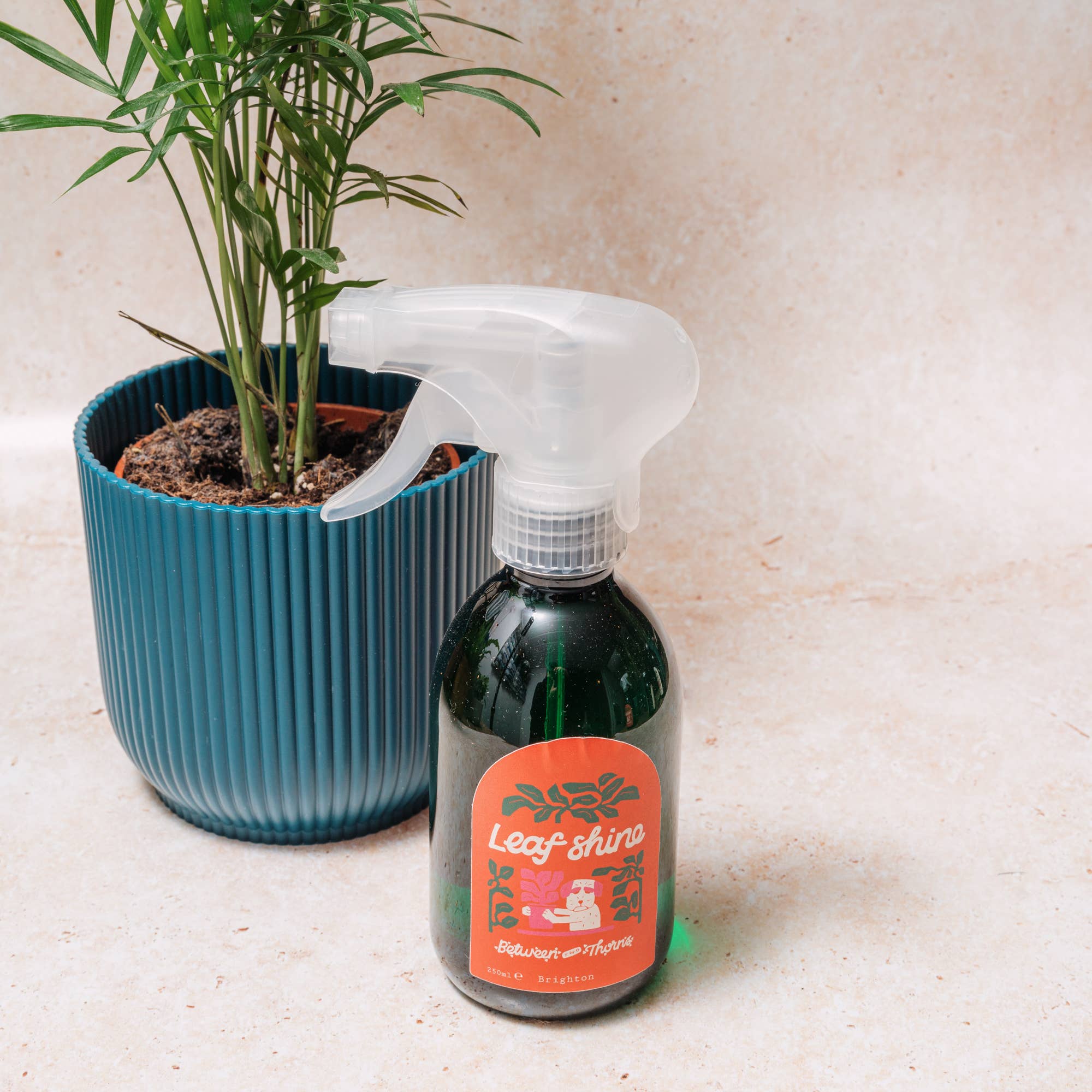 Between Two Thorns – wholesale Fertiliser – Leaf Shine0