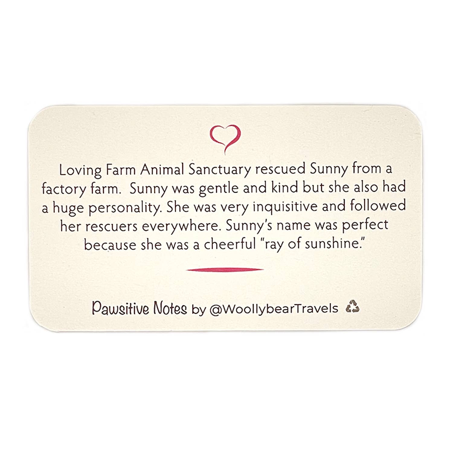 Woollybear Travels - Wholesale Stationery/Notecard Set - Pawsitive Notes- Rescued Chicken (Lunch Box Notes)3