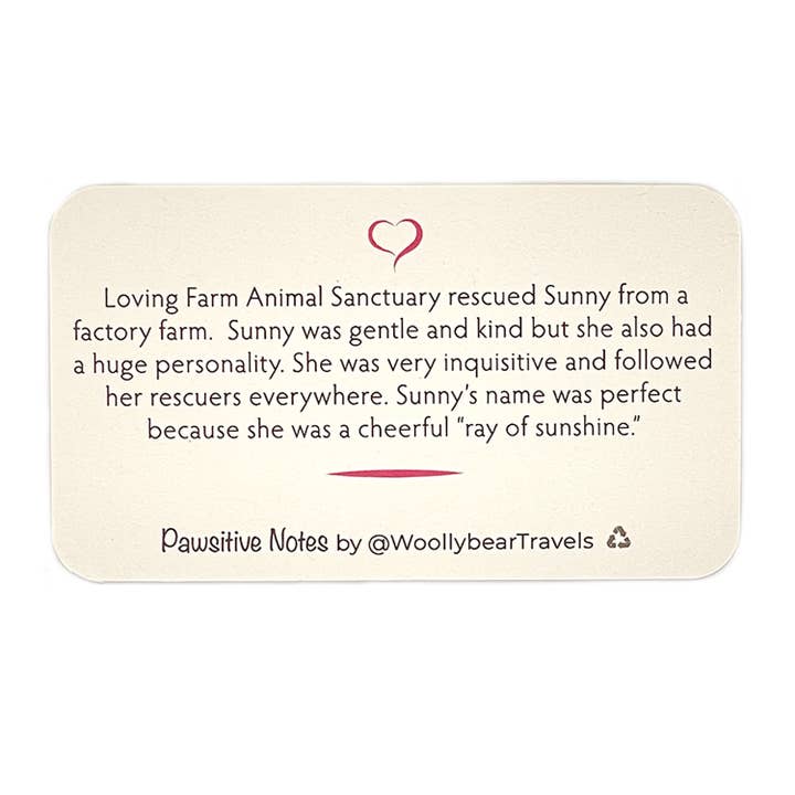 Woollybear Travels - Wholesale Stationery/Notecard Set - Pawsitive Notes- Rescued Chicken (Lunch Box Notes)3