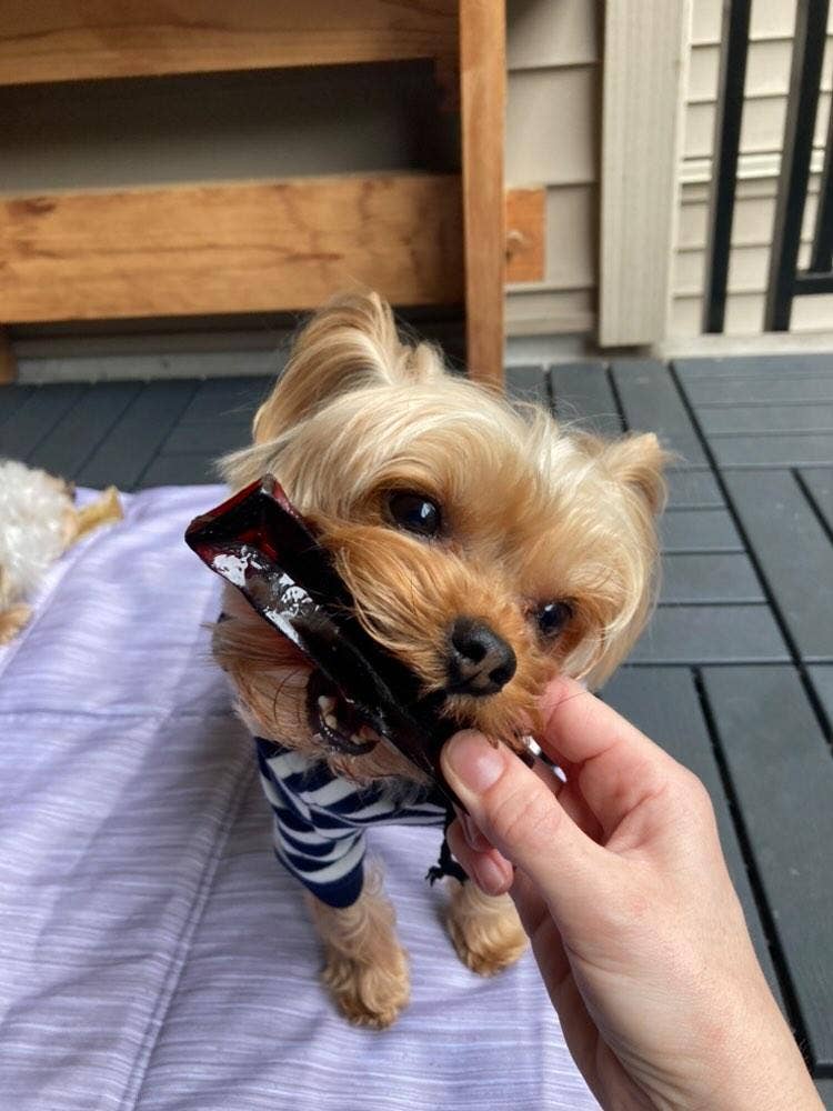 Wag & Bright Supply Co. - Vente Os à mâcher – chien - Mighty Marrows Collagen Dental Chew - Bœuf Spiruline - SM/LG14