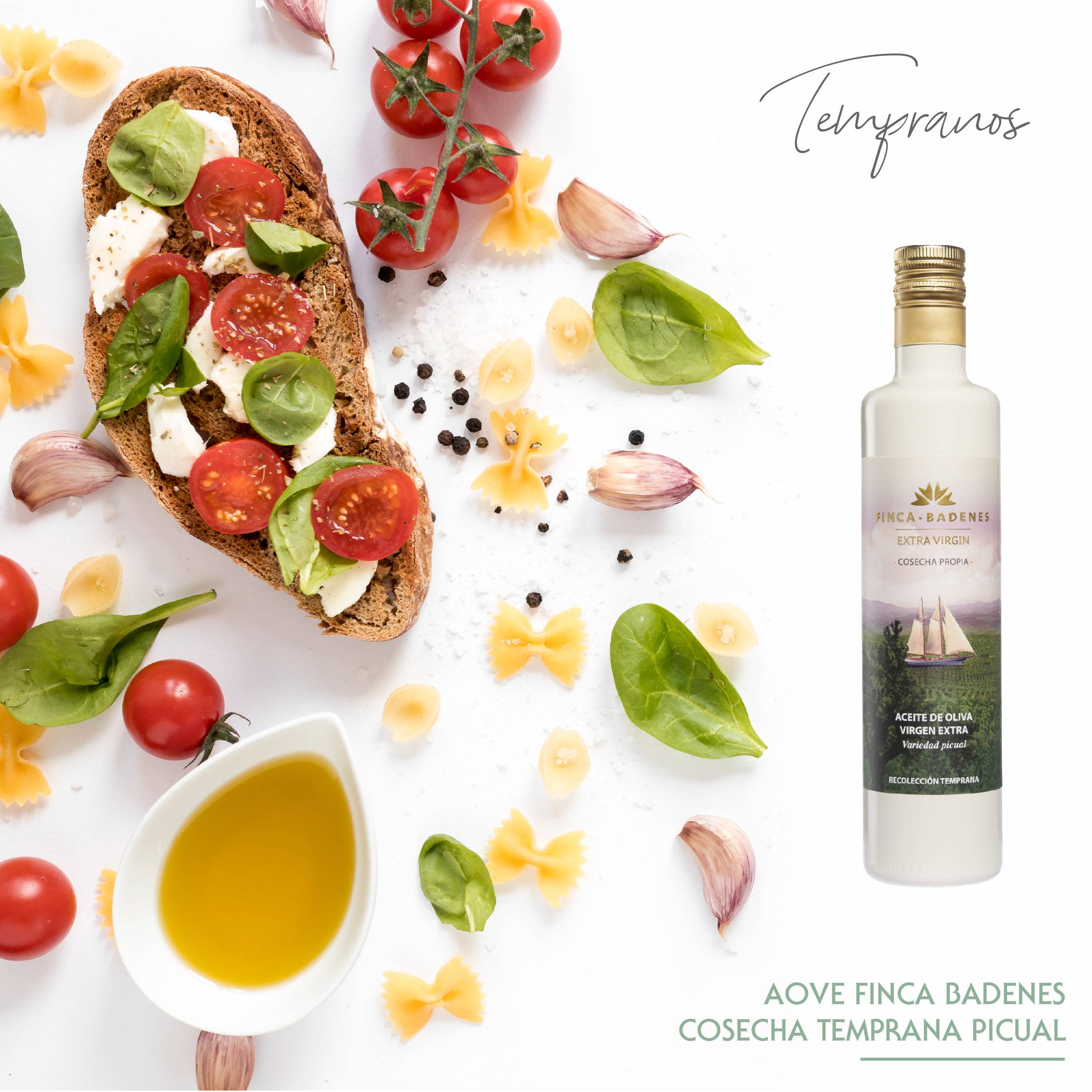 AIRES DE JAEN - Venta al por mayor Aceite de oliva - PACK 12 x 500ml AOVE Finca Badenes PICUAL cosecha temprana4