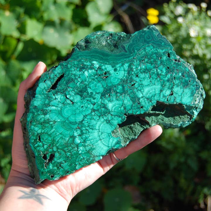 3LB XL Natural Malachite Crystal Slab, Congo for wholesale by Caspar Curiosities