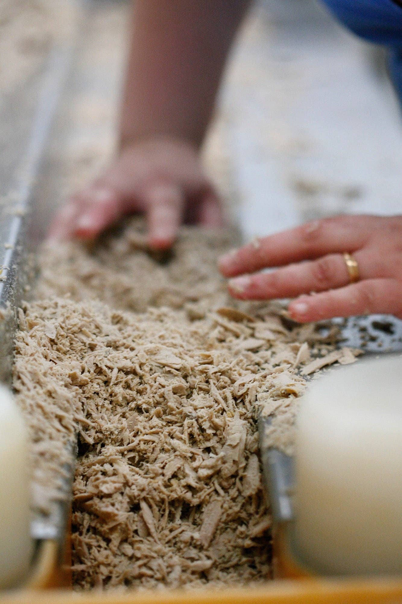 Portugalia Imports - Wholesale Tinned Fish - Santa Catarina Solid Tuna in Olive Oil4