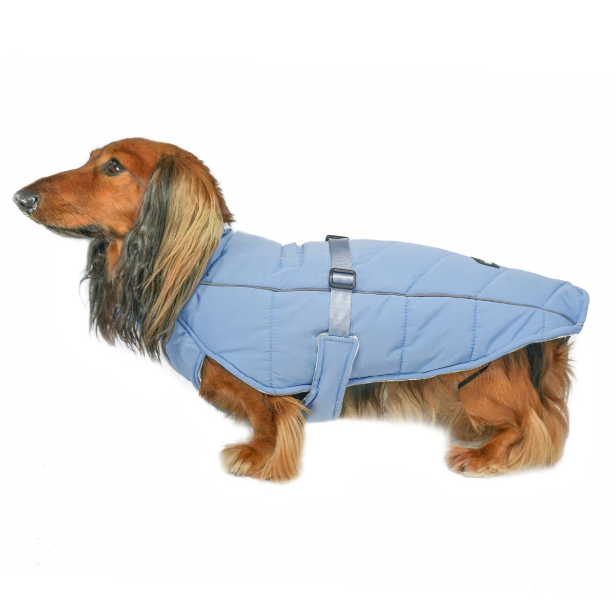 DJANGO - Wholesale Pet Coat - Dog - Whistler Winter Dog Coat - Dusk Blue