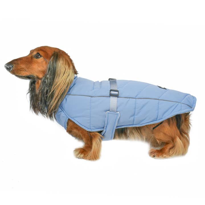 DJANGO - Vente Manteau – chien - Manteau d'hiver pour chiens Whistler - Bleu crépuscule0