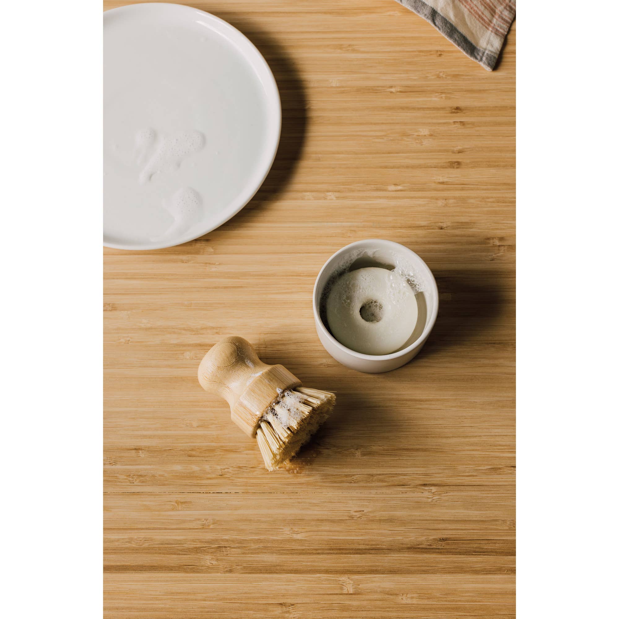 Danica Brands - Wholesale Cleaning Brush - Dish Brush and Soap Set of 31