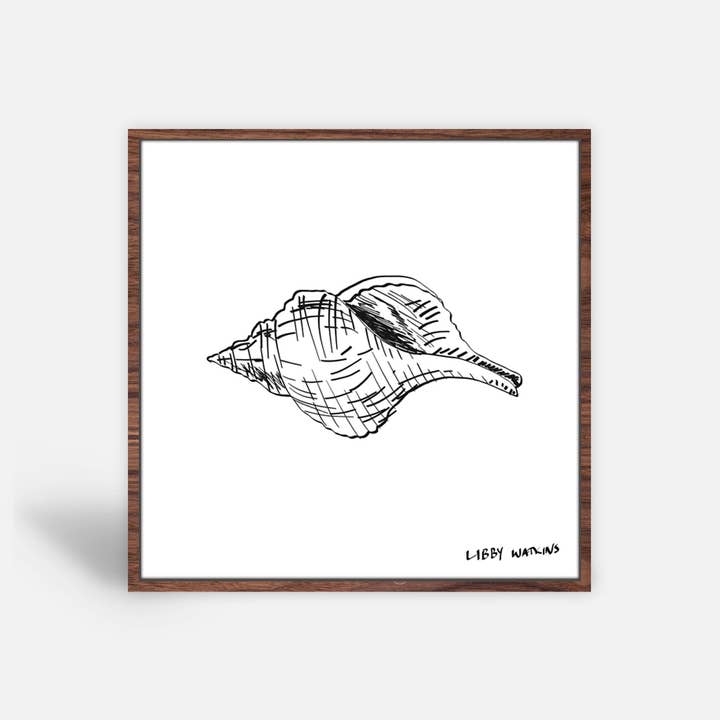 Libby Watkins - Wholesale Art print - Trapezium Conch Sea Shell Canvas Print2