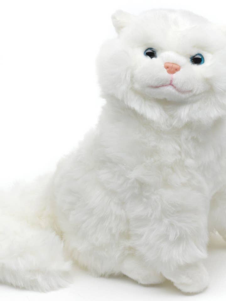 Persisk katt vit, sittande - gos/plyschleksak för wholesale av Uni Toys