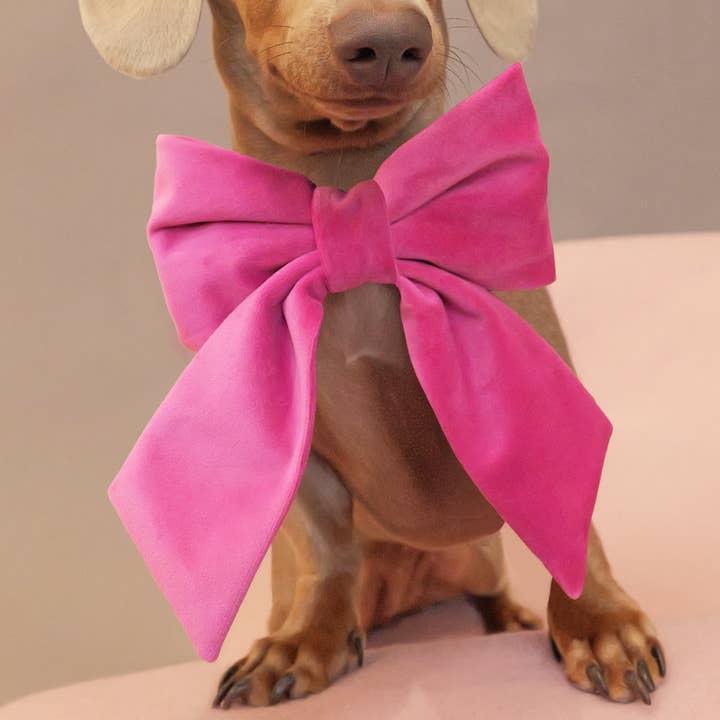 Pink Velvet Bow for wholesale by Palm & Paw