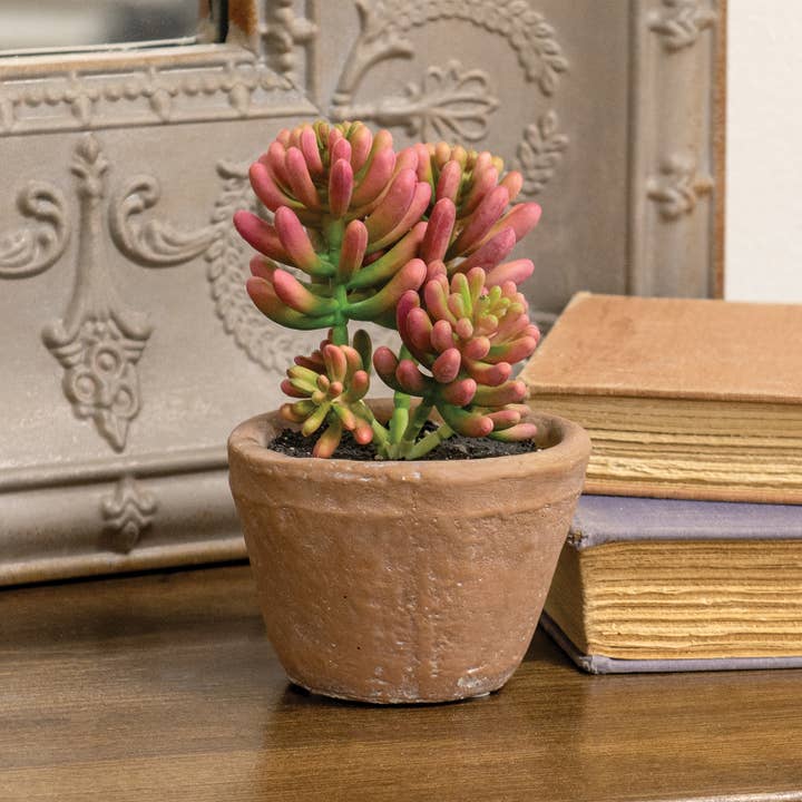 Saybrook Lane – wholesale Artificial plant – Potted Coral Jade Succulent1