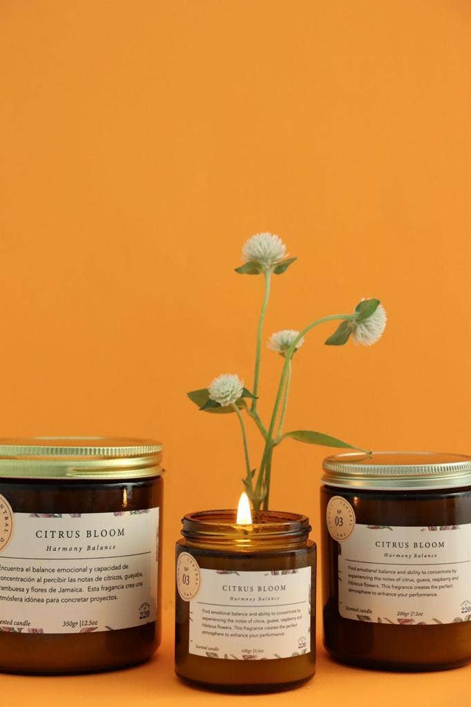 Central 220 - Wholesale Jar/Filled Candle - 03 | Balance | Citrus Bloom | Scented Candle4