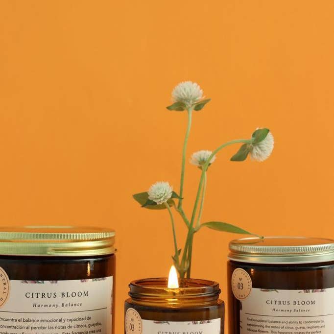 Central 220 - Wholesale Jar/Filled Candle - 03 | Balance | Citrus Bloom | Scented Candle4