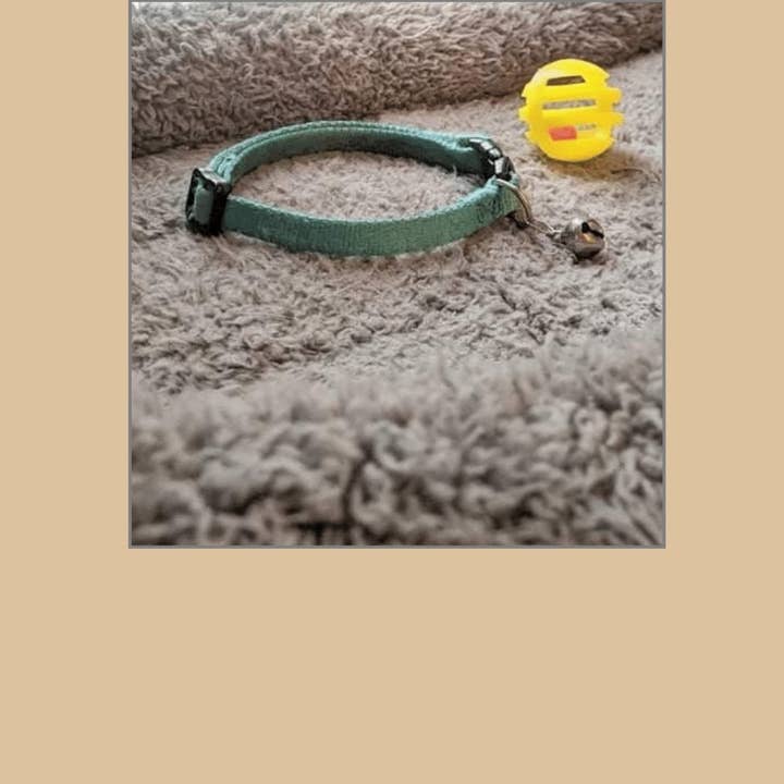 1216 Trading Company - Wholesale Everyday Greeting Card - Paw Talk Greeting Card - Occasions - 040511