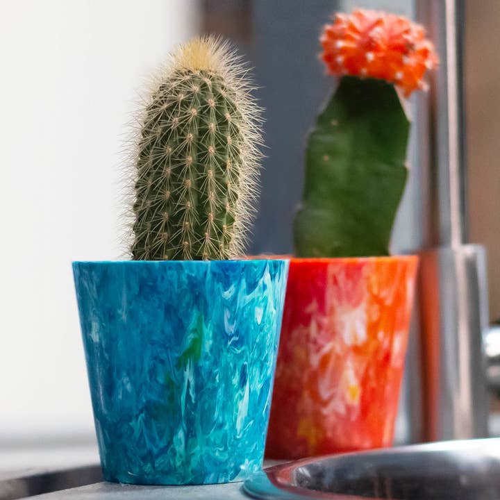 Recycled Plastic Cacti Pots | Eco-Friendly Plant Pots for wholesale by Brothers Make