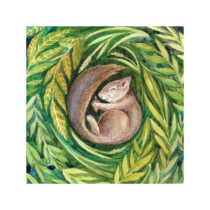 Cynthia Oswald - Wholesale Art Print - Squirrel | Dreaming in the Wild1