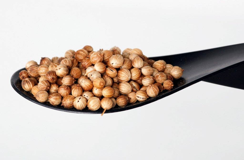 Especias del Sol - Wholesale Herbs - CILANTRO [in Grain]0