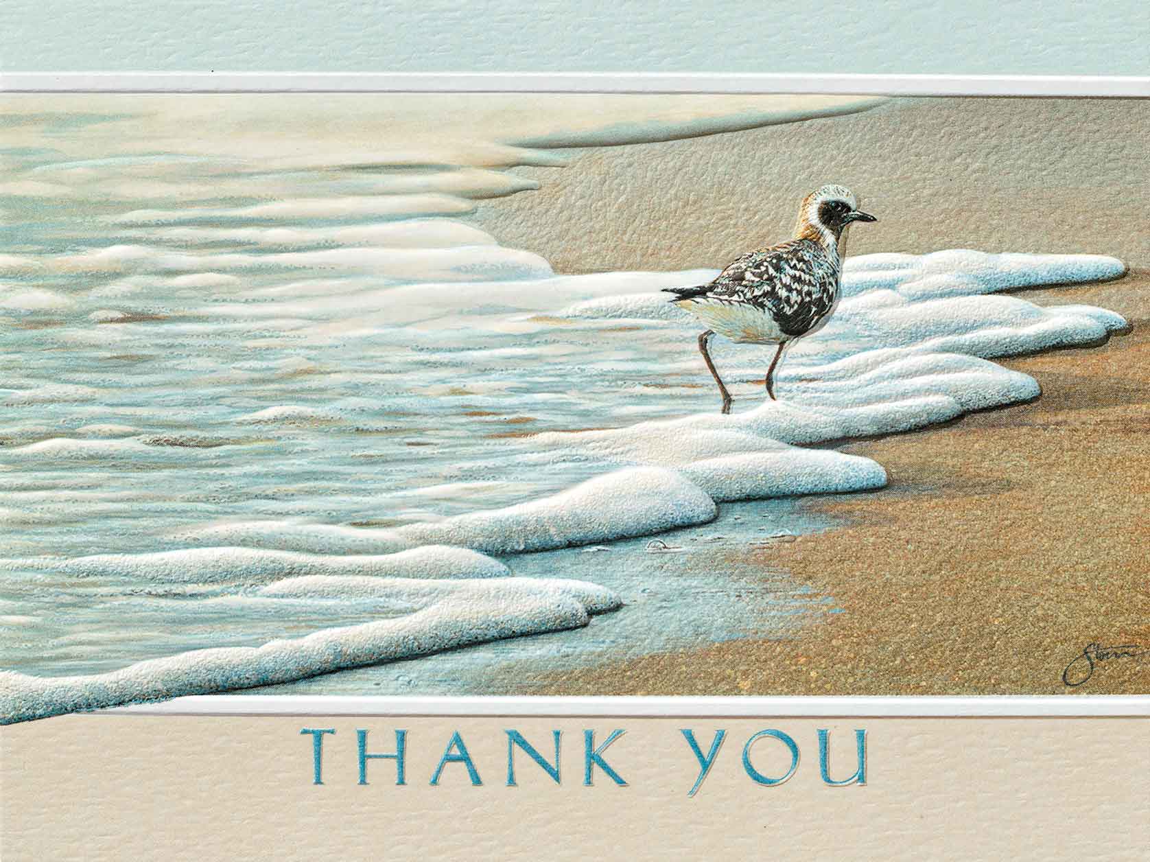 Pumpernickel Press - Wholesale Thank You Card - Black Bellied Plover (TY) - Petite0